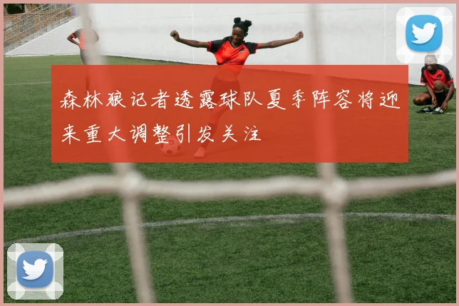 森林狼记者透露球队夏季阵容将迎来重大调整引发关注