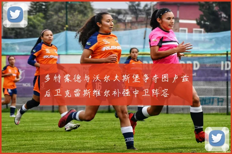 多特蒙德与沃尔夫斯堡争夺图卢兹后卫克雷斯维尔补强中卫阵容